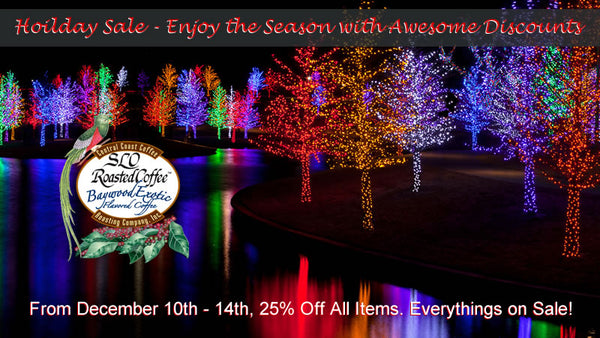December Holiday Sale, 2018