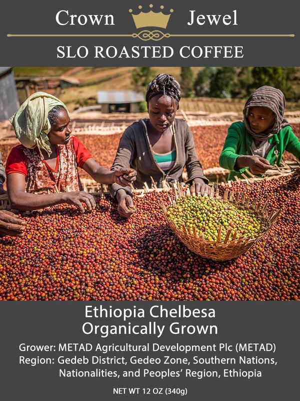 Ethiopia Chelbesa Organically Grown Crown Jewel - 12oz. Bag